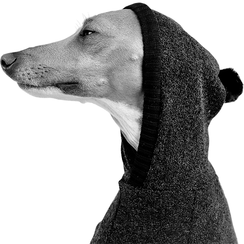 Italian Greyhound Clothing | Iggy Clothing | Royal Hound