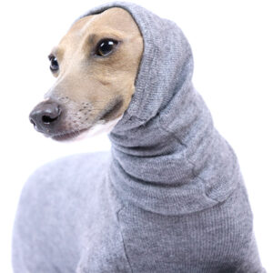 whippet turtleneck