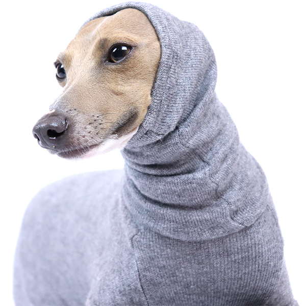 greyhound turtleneck