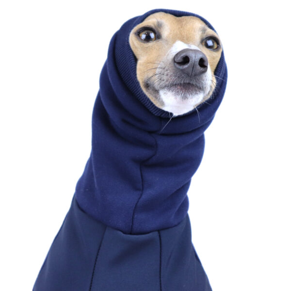 Pee Proof Half Suit Royal Hound Clothing