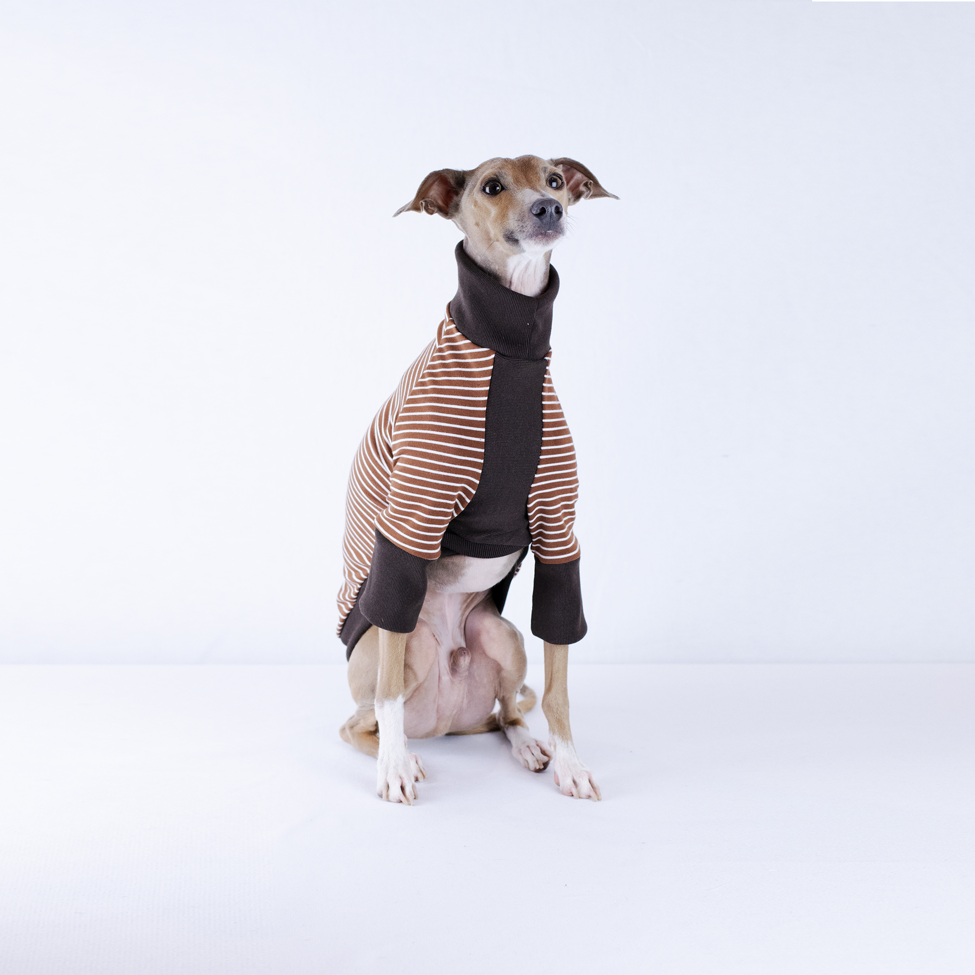 Primavera Rib Neck Two Tone Clothes for Italian Greyhounds