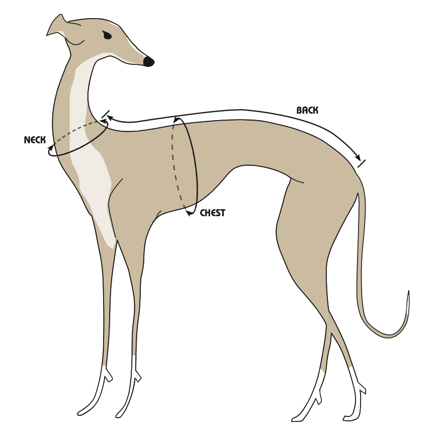 Clothes for Italian Greyhounds