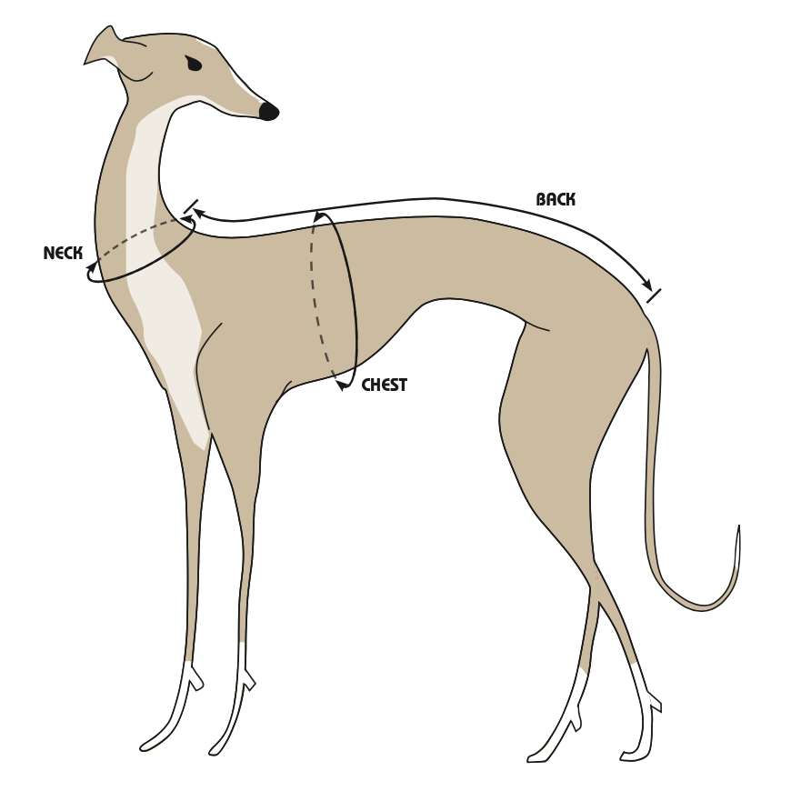 Clothes for Italian Greyhounds 