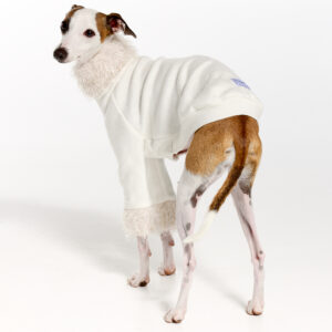 Italian Greyhound Clothing | Royal Hound