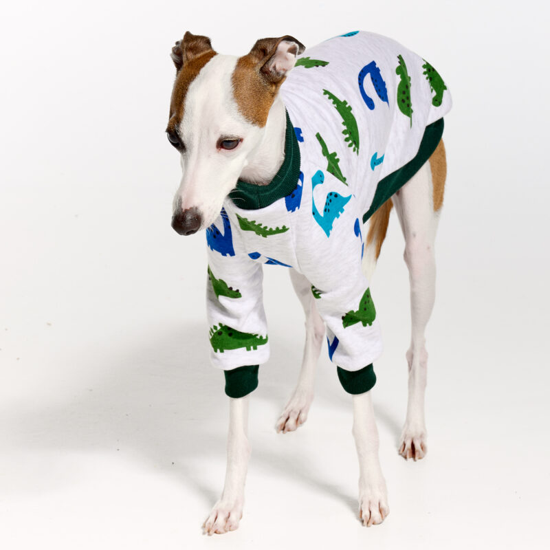 Italian Greyhound Pyjamas | Royal Hound