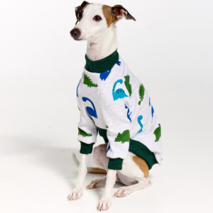 Italian Greyhound Pyjamas | Royal Hound