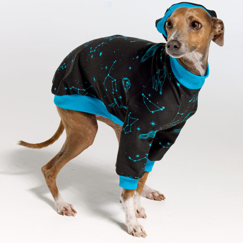 Italian Greyhound Pyjamas | Royal Hound