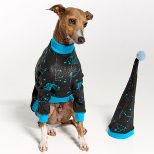 Italian Greyhound Pyjamas | Royal Hound