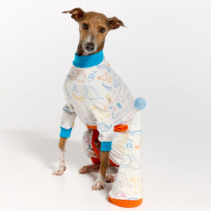 Italian Greyhound Pyjamas | Royal Hound