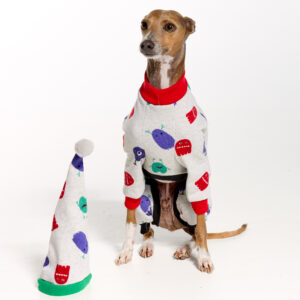 Italian Greyhound Pyjamas | Royal Hound