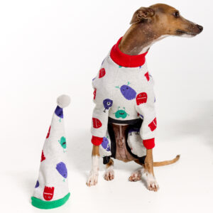 Italian Greyhound Pyjamas | Royal Hound