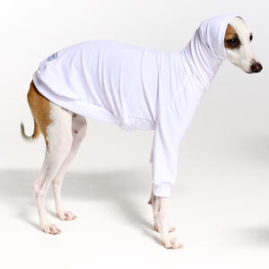 UV Italian Greyhound Suit | Royal Hound