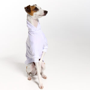 UV Italian Greyhound Suit | Royal Hound