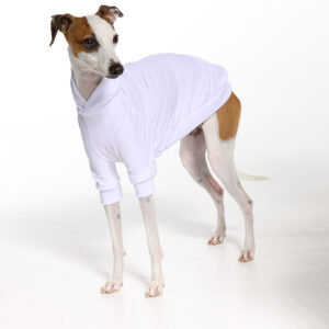 UV Italian Greyhound Suit | Royal Hound