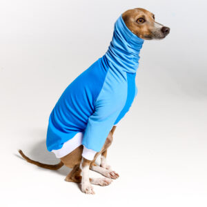 UV Italian Greyhound Suit | Royal Hound