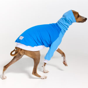 UV Italian Greyhound Suit | Royal Hound