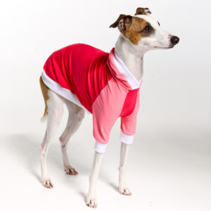 UV Italian Greyhound Suit | Royal Hound