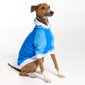 UV Italian Greyhound Suit | Royal Hound