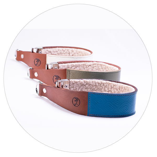Italian Greyhound Martingale Collars