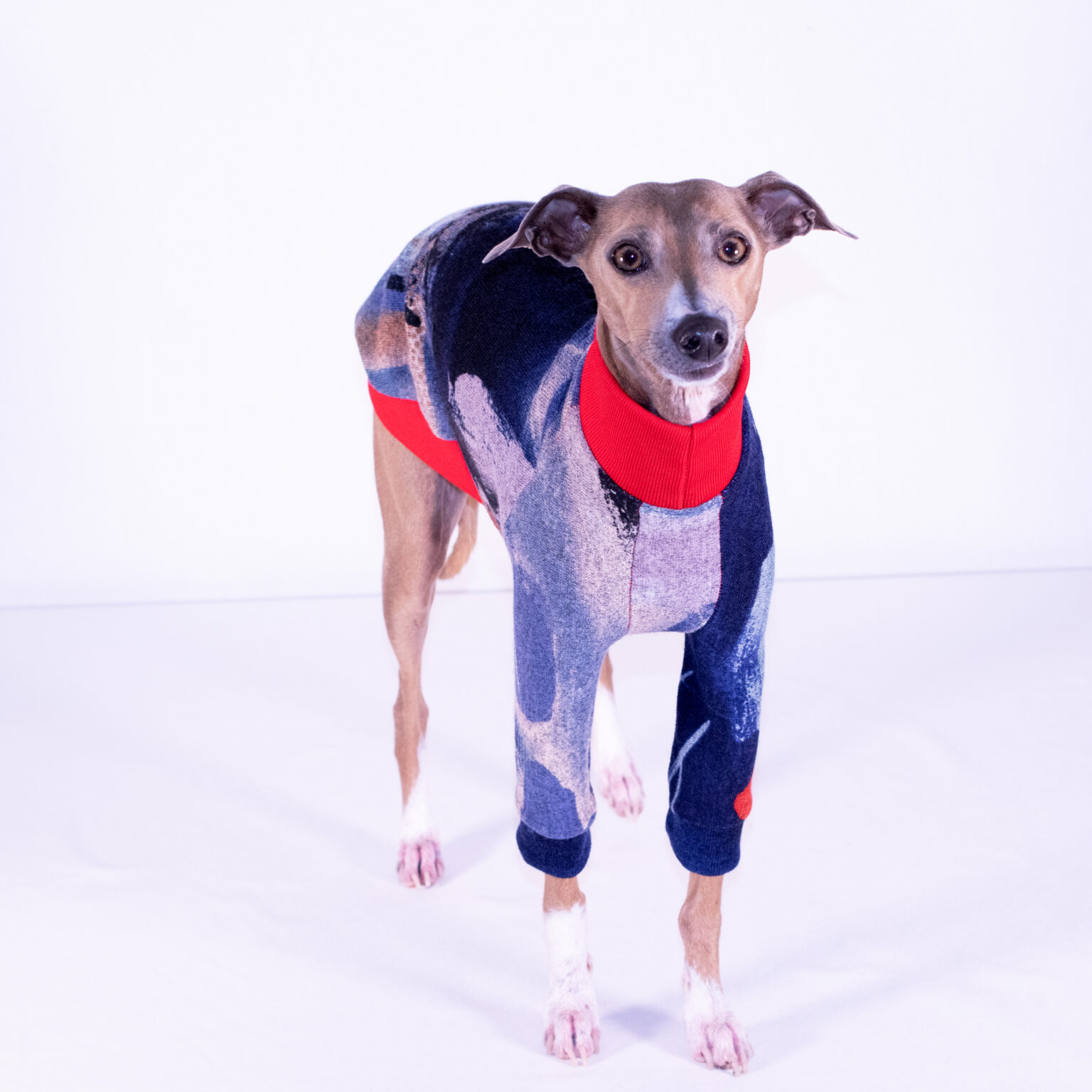 Shop Royal Hound Clothing