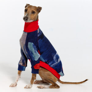 Italian Greyhound Clothing & Whippet Clothing