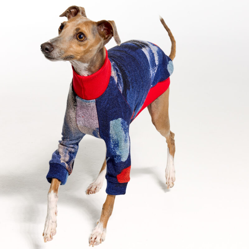 Italian Greyhound Clothing & Whippet Clothing