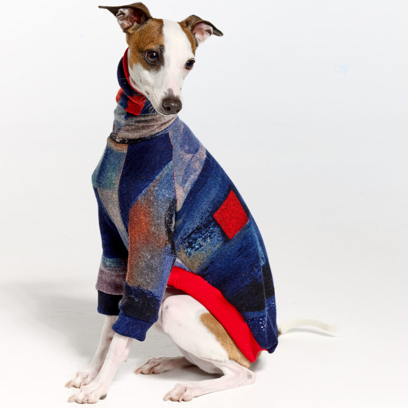 Italian Greyhound Clothing & Whippet Clothing