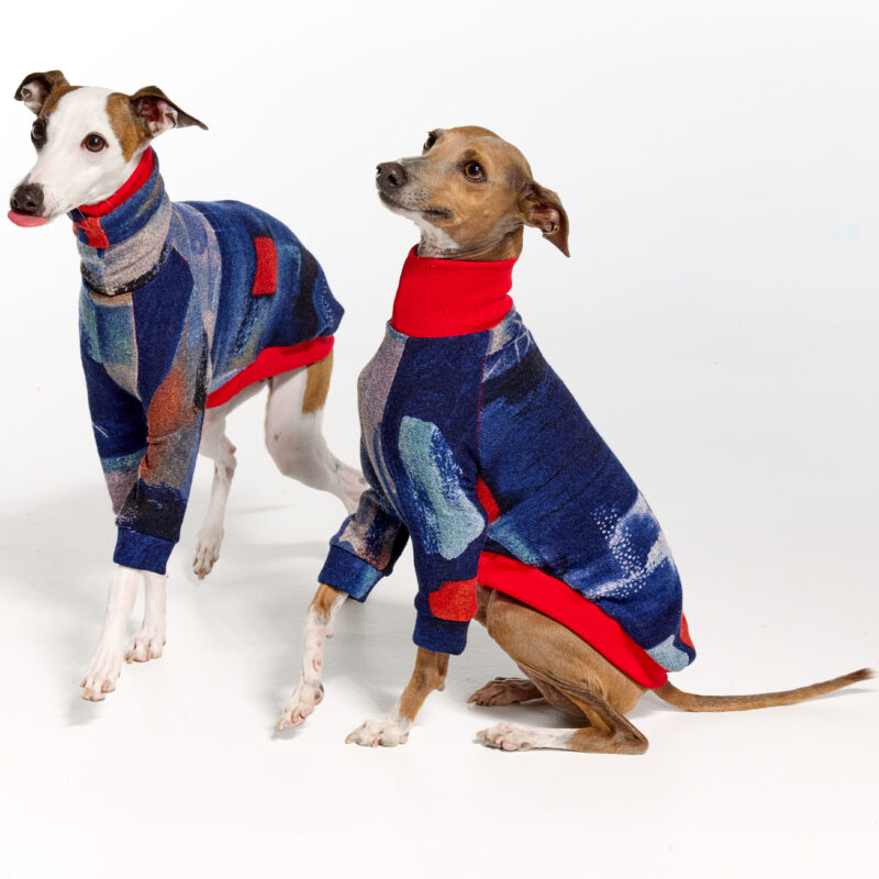 Italian Greyhound Clothing & Whippet Clothing