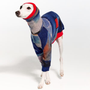 Italian Greyhound Clothing & Whippet Clothing