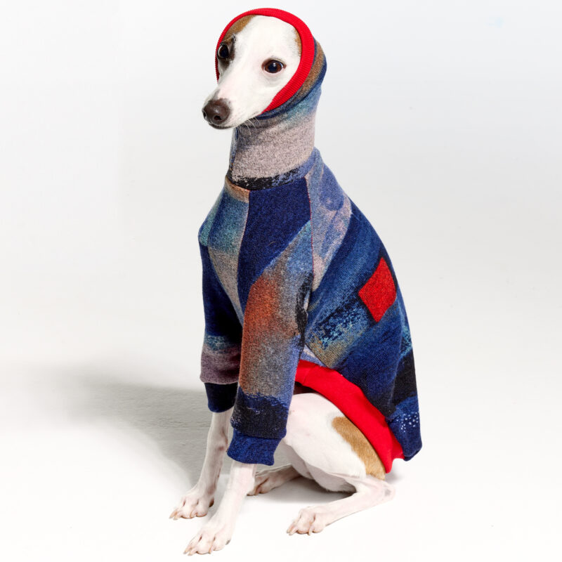 Italian Greyhound Clothing & Whippet Clothing