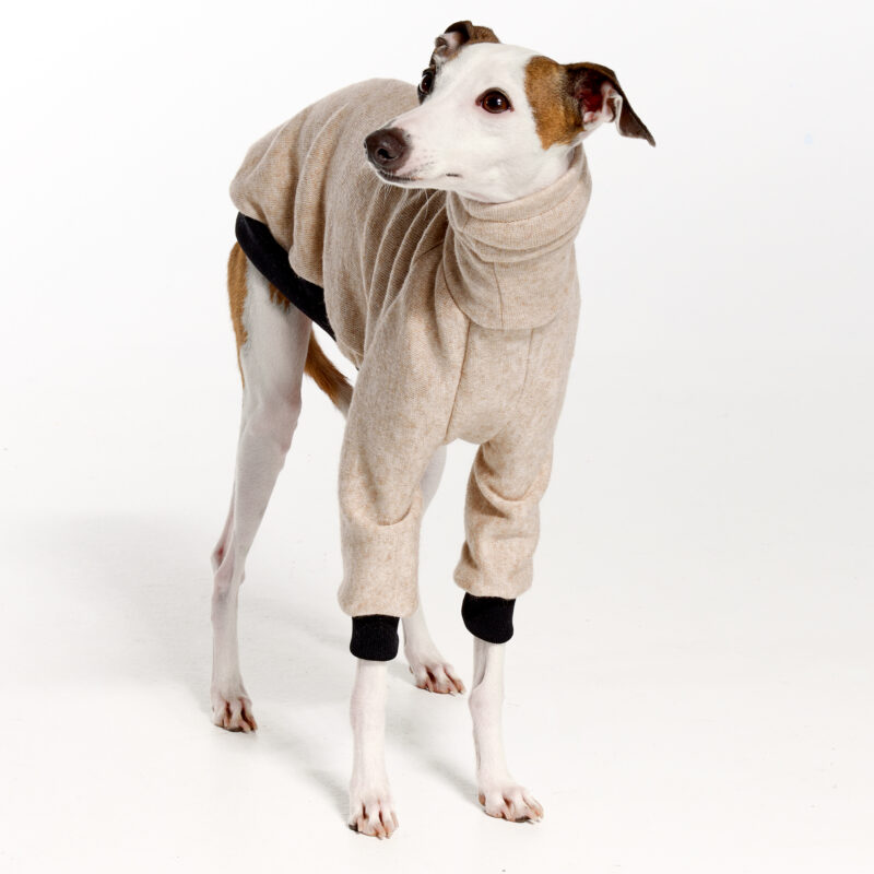 Italian Greyhound Clothing | Oscar and Ophelia | Royal Hound