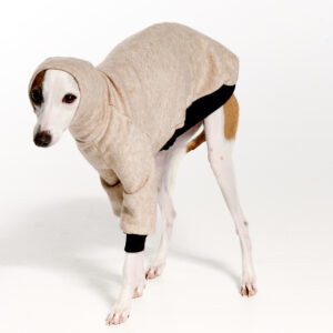 Italian Greyhound Clothing | Oscar and Ophelia | Royal Hound