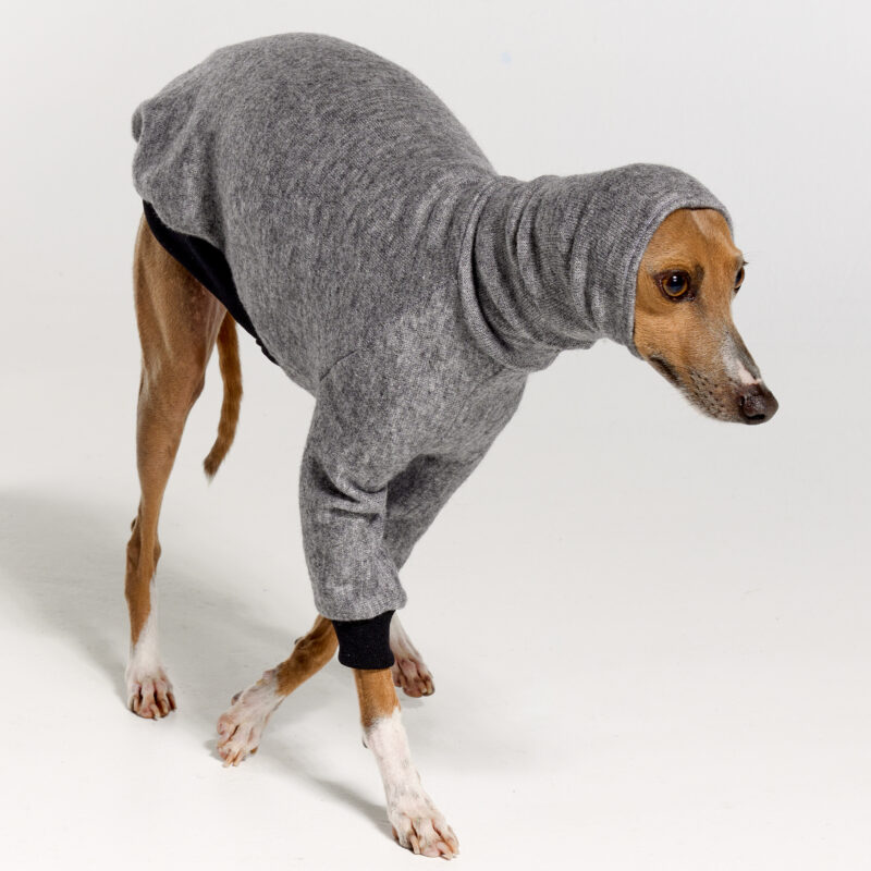 Italian Greyhound Clothing | Oscar and Ophelia | Royal Hound