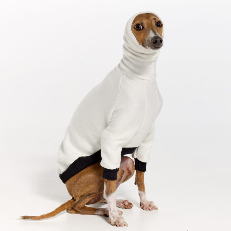 Italian Greyhound Clothing | Oscar and Ophelia | Royal Hound