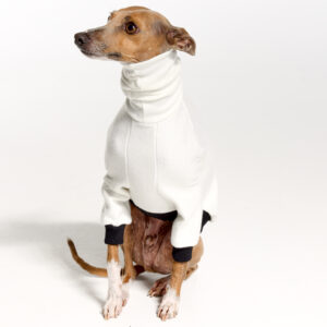 Italian Greyhound Clothing | Oscar and Ophelia | Royal Hound