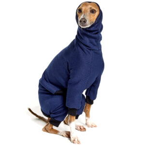 Italian Greyhound Clothing | Royal Hound