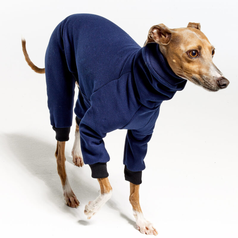 Italian Greyhound Clothing | Royal Hound