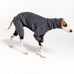 Italian Greyhound Clothing | Royal Hound