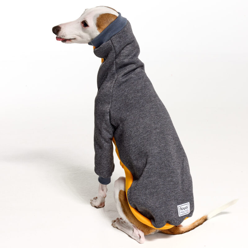 Italian Greyhound Clothing | Whippet Clothing | Royal Hound