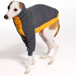 Italian Greyhound Clothing | Whippet Clothing | Royal Hound