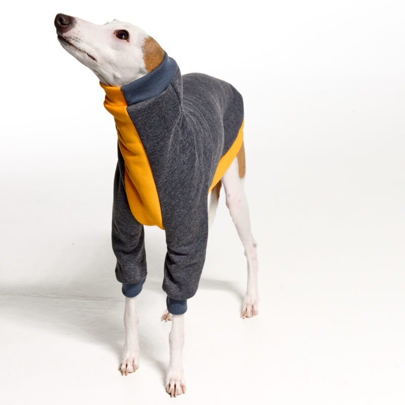 Italian Greyhound Clothing | Whippet Clothing | Royal Hound