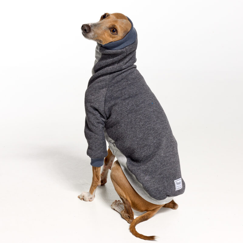 Italian Greyhound Clothing | Whippet Clothing | Royal Hound