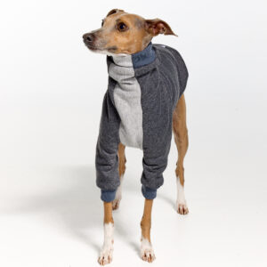 Italian Greyhound Clothing | Whippet Clothing | Royal Hound