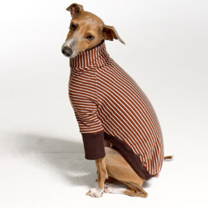 Italian Greyhound Clothing | Whippet Clothing