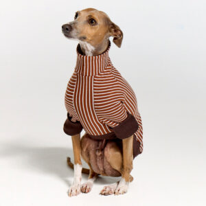 Italian Greyhound Clothing | Whippet Clothing