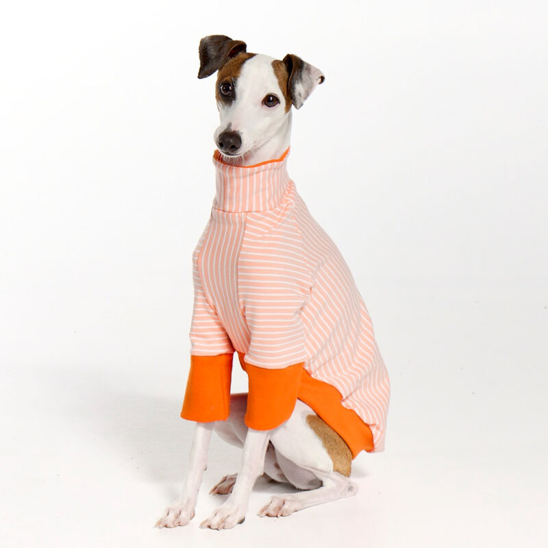 Italian Greyhound Clothing | Whippet Clothing