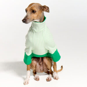 Italian Greyhound Clothing | Whippet Clothing