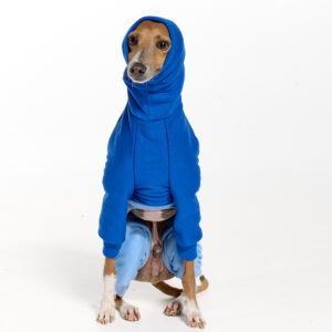 Royal Hound | Italian Greyhound Clothing