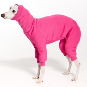 Royal Hound | Italian Greyhound Clothing