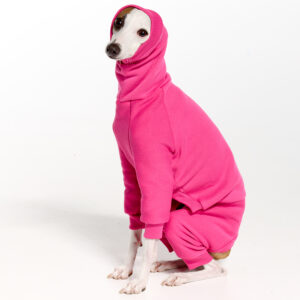 Royal Hound | Italian Greyhound Clothing